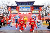 176.44萬！新城文旅新年迎開門紅！